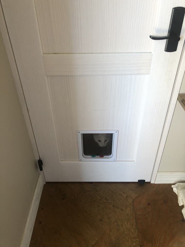 猫ドア